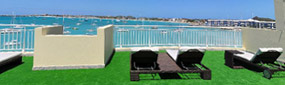 Terrace Party