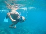 Snorkel