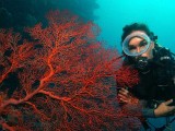 Underwater